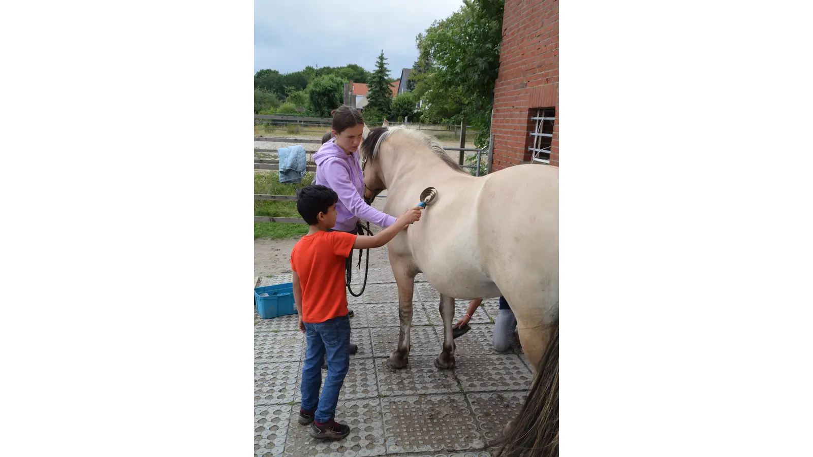 Erst die Arbeit - dann das Vergnügen. Amir (8) putzt das Fell von Pferdinand, bevor es auf den Reitplatz geht. (Foto: ab)