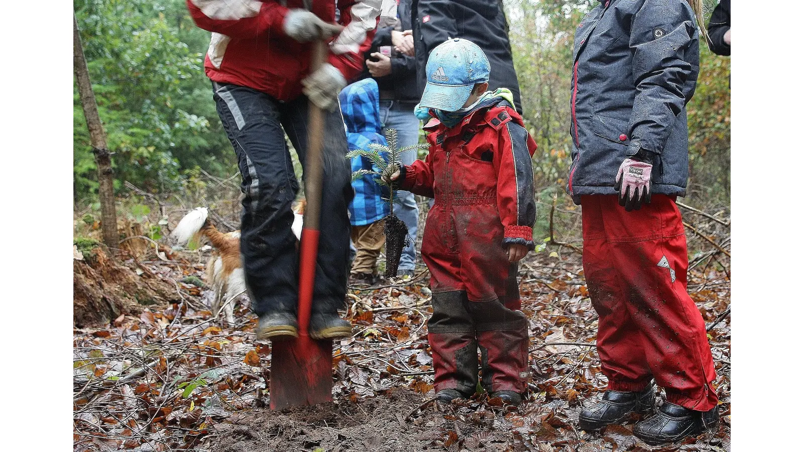 <br>Forstamt und Schule sind sich einig, dass diese Pflanzaktion erst der Auftakt zu einer ganzen Reihe von gemeinsamen Projekten ist.<br><br> (Foto: privat)