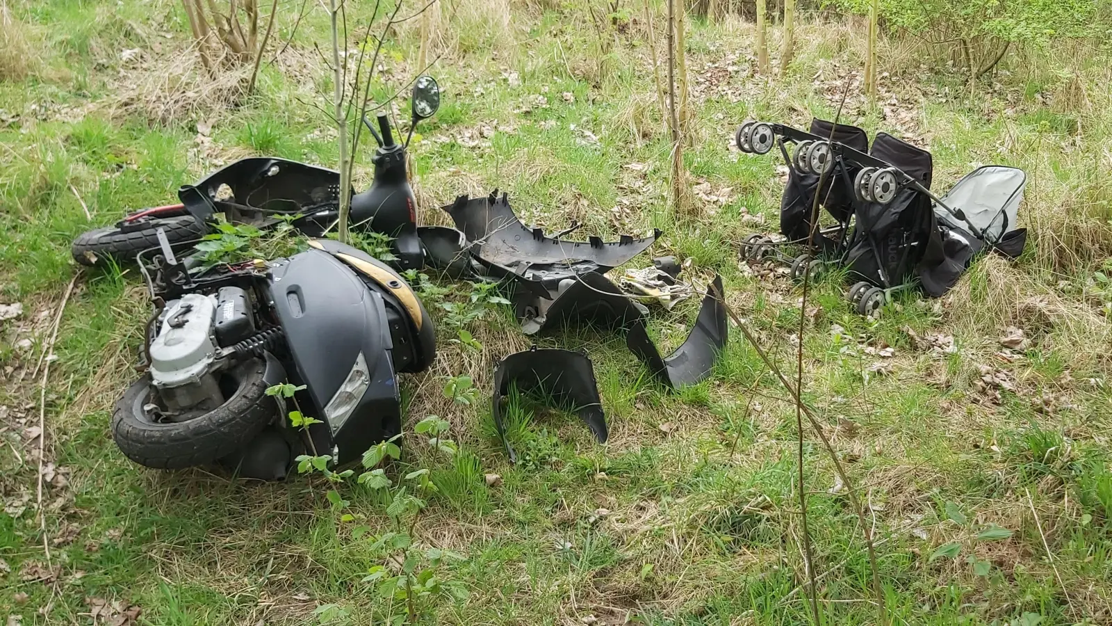 Ohne Skrupel entsorgt: Ein Motorroller und eine Tandem-Kinderkarre. (Foto: gk)