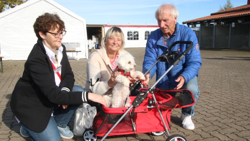 Fündig geworden (v.li.): Christa Seidel, Angelika Döpke und Erich Nottebrook mit Flöckchen im „Ferrari“-Hundebuggy. (Foto: gi)