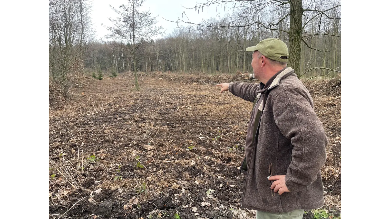 Revierförster Ralph Weidner erläutert die Baumpflanzungen im freigeräumten Rodenberger Stadtforst (Foto: Stadt Rodenberg). (Foto: Stadt Rodenberg)