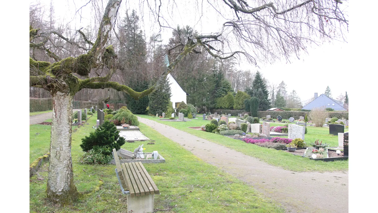Der Friedhof in Obernwöhren soll einen stärker parkartigen Charakter erhalten. (Foto: Borchers, Bastian)