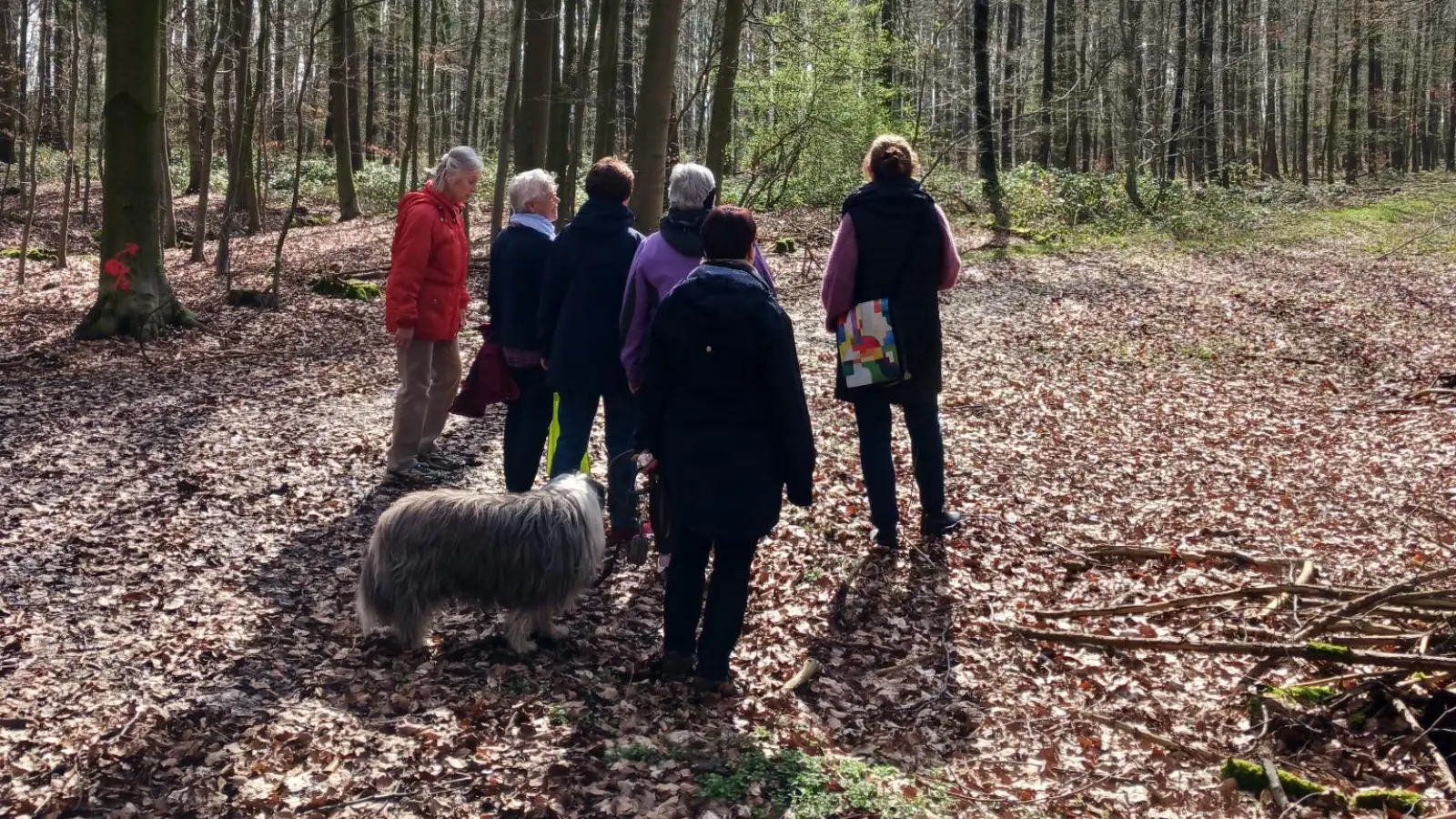 Führt durch das Hohe Holz: Der Trauerspaziergang. (Foto: privat)