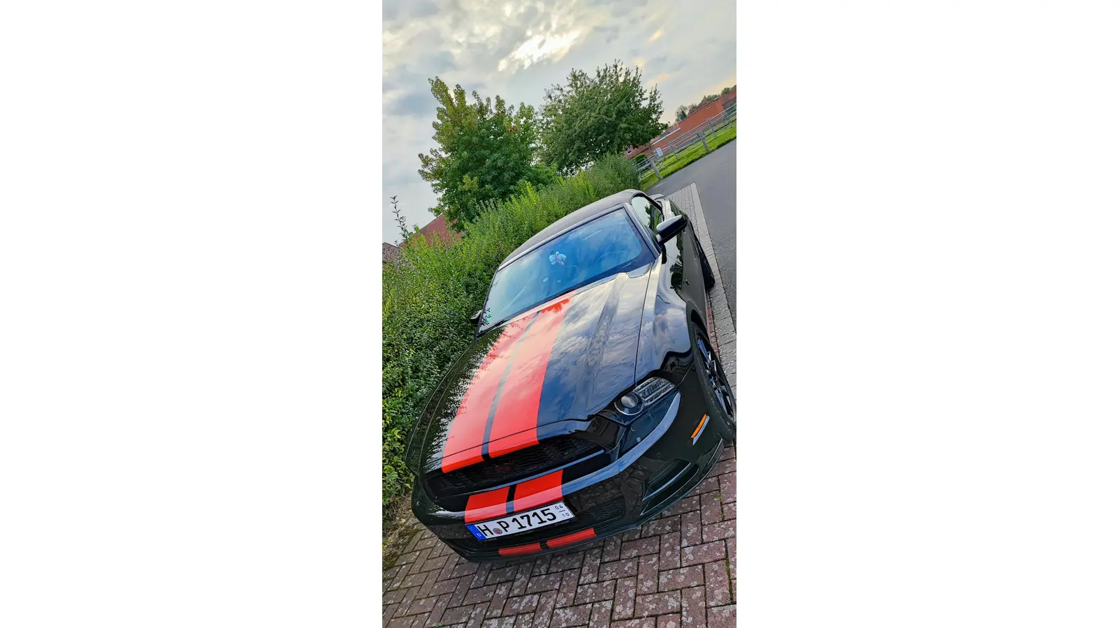 Die Gruppe Mustangfreunde freut sich auf weitere Mitwirkende, (Foto: privat)