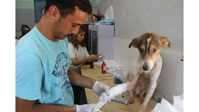 Auch Tiere müssen eventuell mal ärztlich versorgt werden. (Foto: privat)