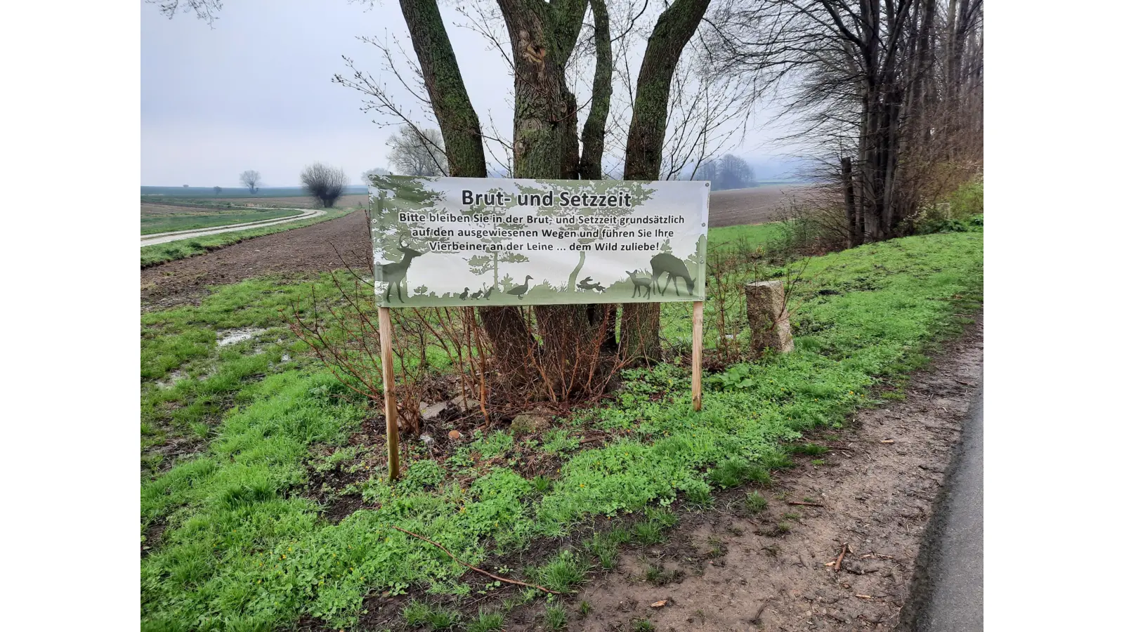 Auf dem Weg zum Deisterparkplatz in Rodenberg erinnert dieser Banner an die Leinenpflicht. (Foto: ds)