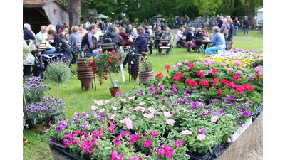 Besonderes Flair beim Garten-Festival. (Foto: bb)