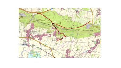 Durch Trockenheit und Pilze abgetötete Bäume müssen rund um Schaumburg und Papenburg aus Verkehrssicherheitsgründen entfernt werden. (Foto: Landesforsten)