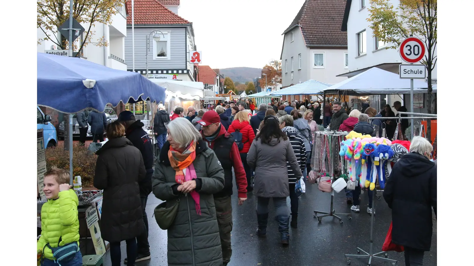 Ab dem späten Nachmittag drängen die Menschen in Scharen auf den Martini-Markt. (Foto: Borchers, Bastian)