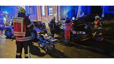 Die Feuerwehrleute befreien eine eingeklemmte Person.  (Foto: Picasa)