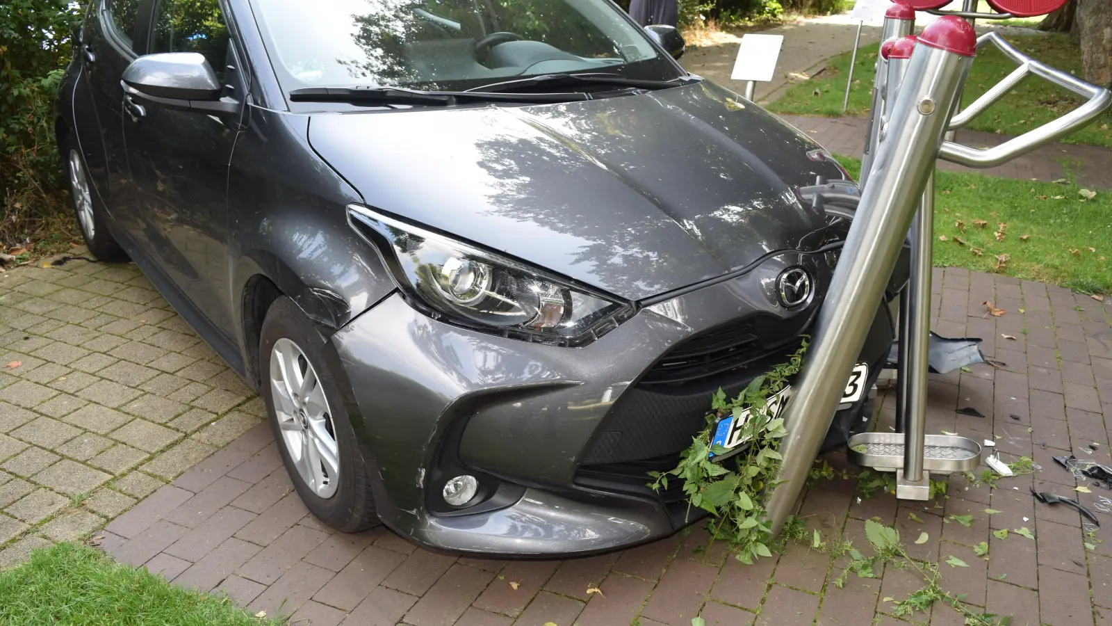 Durch die Hecke gegen das Bewegungsgerät. (Foto: privat)