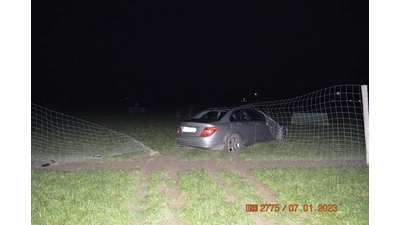 Das Fahrzeug stoppte erst auf dem Gelände einer Hühnerfarm. (Foto: privat)