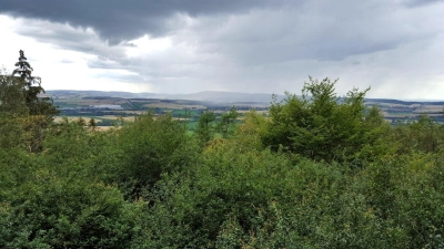 Der Umbau des Waldes hin zu mehr Klima-Resilienz bleibt eine wichtige Aufgabe.  (Foto: bb)