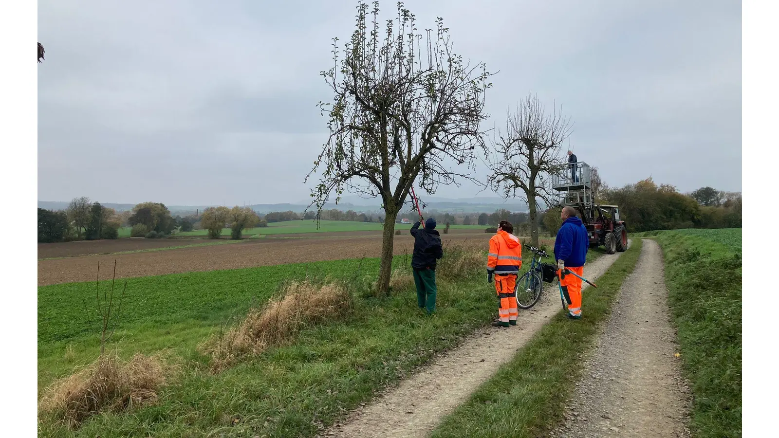 Die Dorfgemeinschaft kümmert sich jedes Jahr um über 35 Obstbäume. (Foto: privat)