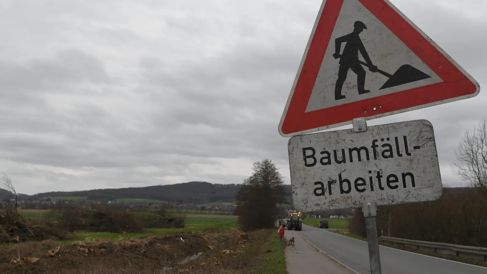 Die Baumfällarbeiten sind für dieses Frühjahr abgeschlossen. (Foto: nd)