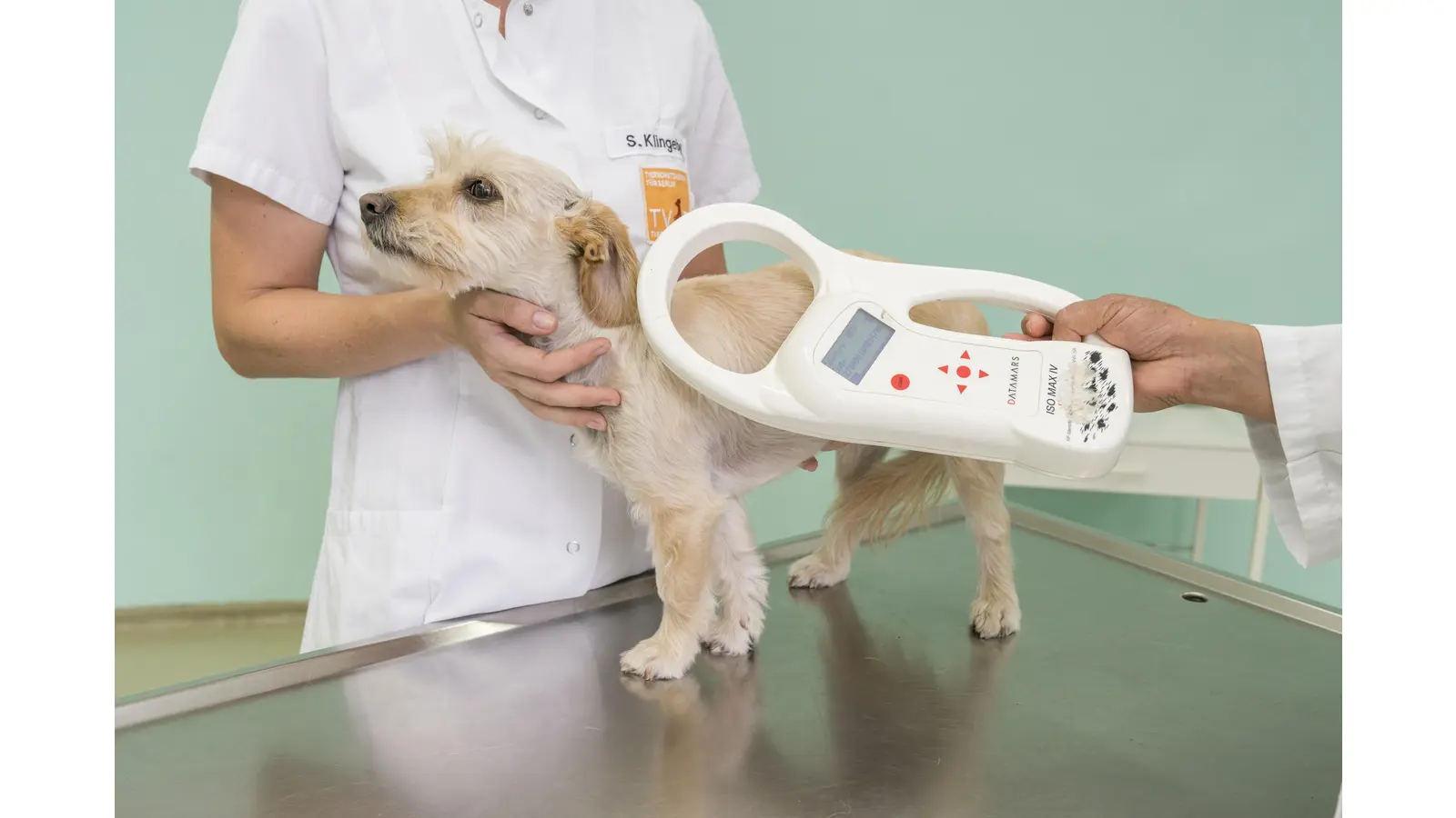 Der vom Tierarzt gesetzte Mikrochip kann mit einem Lesegerät – zum Beispiel in Tierarztpraxen, Tierheimen oder von der Feuerwehr – ausgelesen werden, wenn ein entlaufenes Tier aufgegriffen wird. (Foto:  sabine-muench.de)