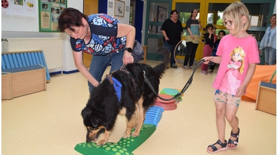 Unter Anleitung durften die Kinder die Hunde durch den Parcour führen. (Foto: ab)