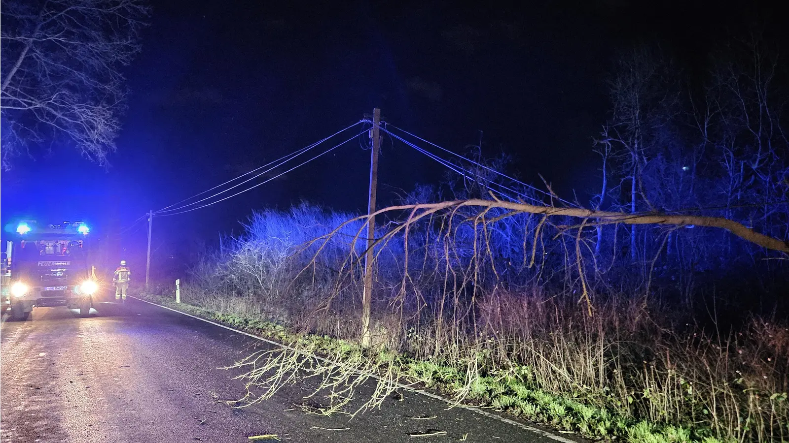 Auf der Moorstraße in Neustadt: Ein Baum ist auf eine Telefonleitung gekippt. (Foto: Feuerwehr)