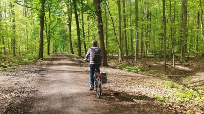 Ist Teil der Strecke: Der Weg durchs Hohe Holz. (Foto: Roswitha Kranz)