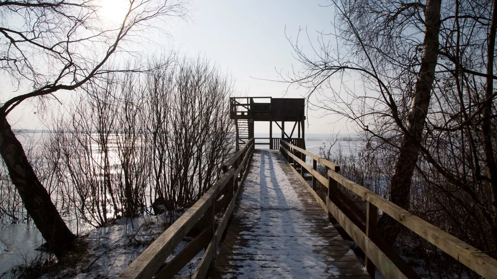 Wird erneuert: Der Steg zum Aussichtsturm „Neue Moorhütte”. (Foto: Claus Kirsch, Region Hannover)