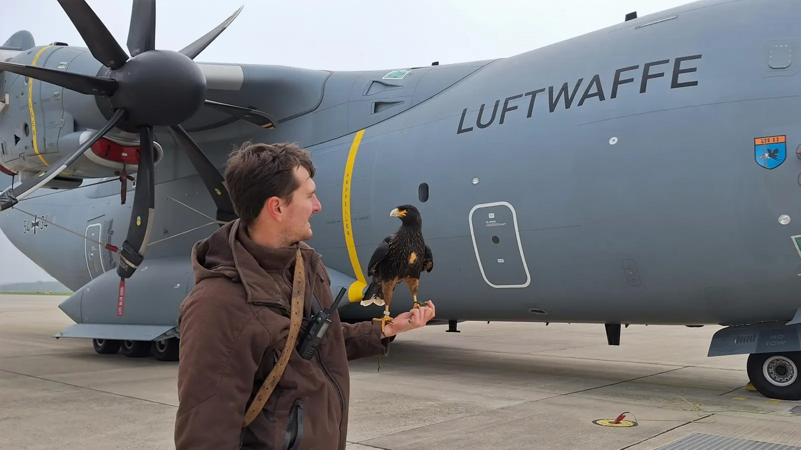 Falkner Oliver O. ist auf dem Fliegerhorst als Soldat tätig, sein Begleiter Carlos soll andere Vögel vergrämen.  (Foto: Bundeswehr VU)