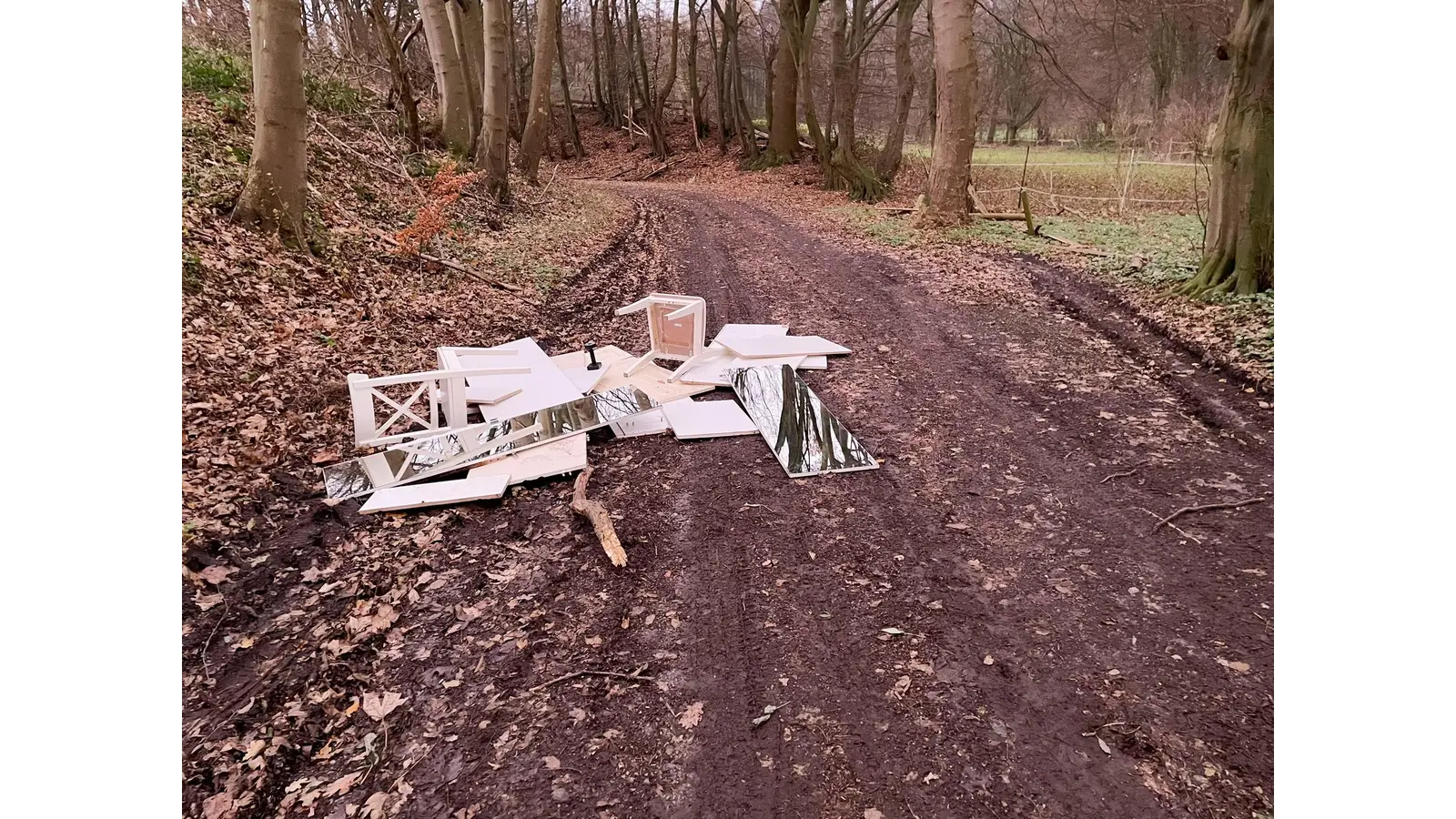 Spaziergänger finden den illegal entsorgten Müll im Deister. (Foto: privat)