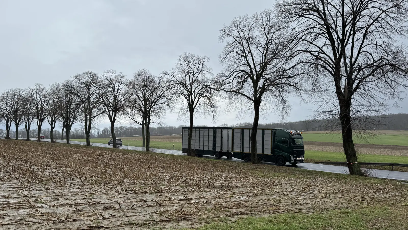 Die 24 Bäume an der B65 müssen für eine Zufahrt entfernt werden. (Foto: privat)