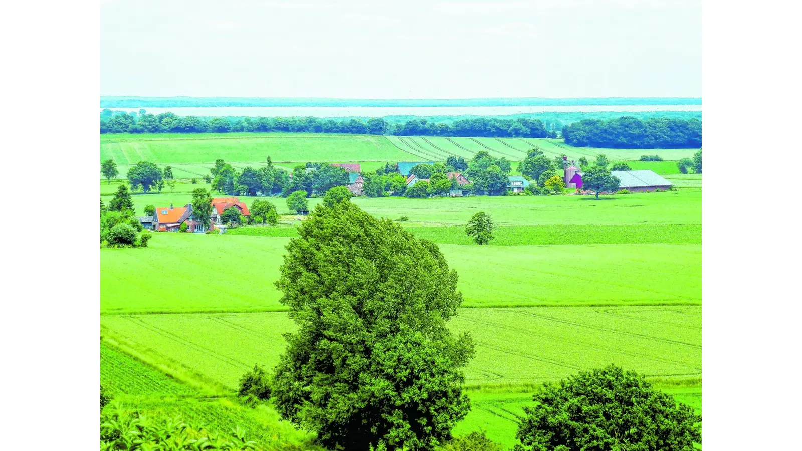 Musik bietet auch Aussicht (Foto: tau)