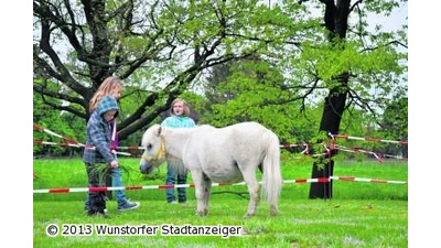 Zwischen Güllosseum und Futtersilo wird gerockt (Foto: nb)