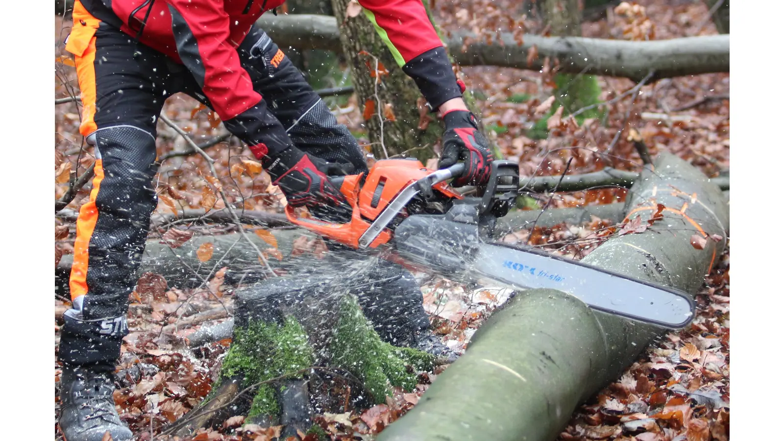 Der Landkreis Schaumburg bietet eine Vielzahl verschiedener Berufsfelder vom Waldarbeiter bis zum Job in der Verwaltung. (Foto: archiv bb)