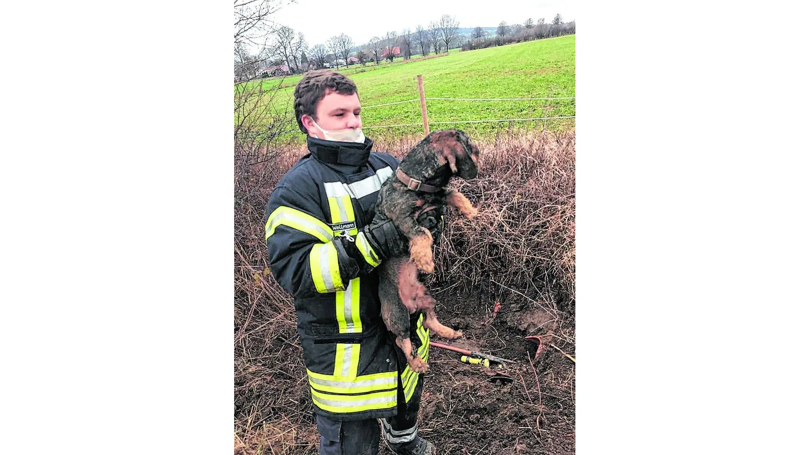 Dackel auf Abwegen (Foto: cs)