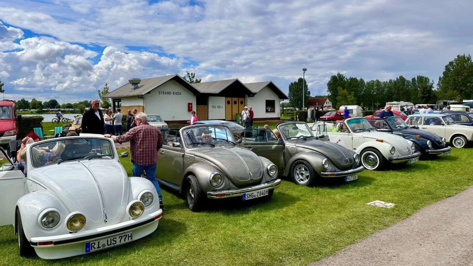 Tausende Besucher schauen genau hin, welche Schätzchen sich hier offen zeigen.  (Foto: ste)