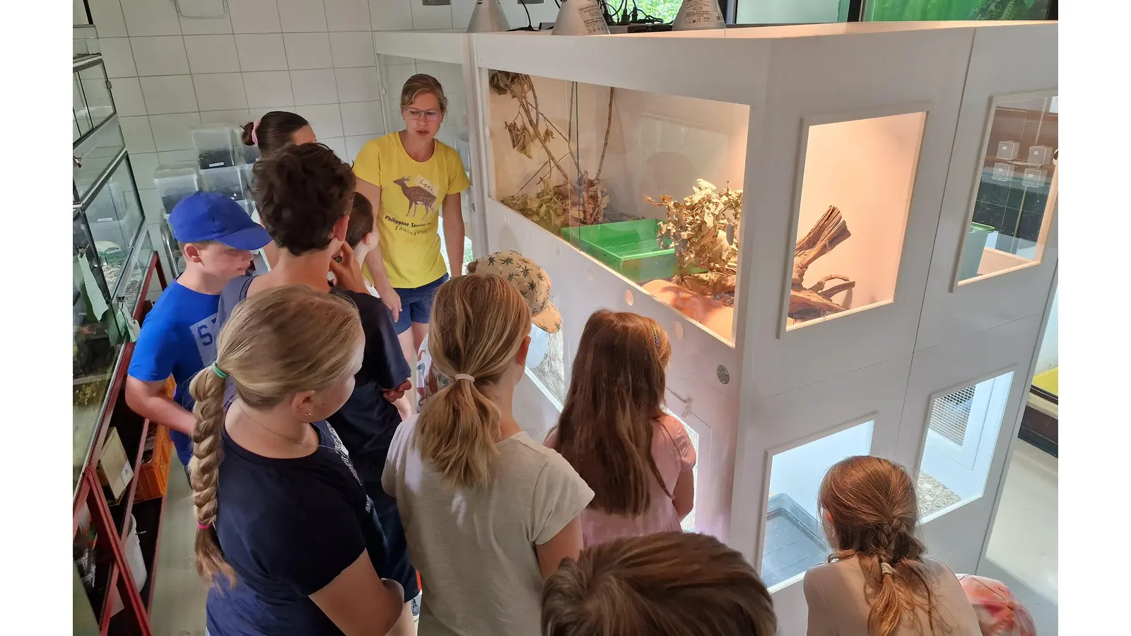 Gemeinsam mit Anne Brandes schauen sich die 15 Kinder die Bartagame genauer an. (Foto: jb)