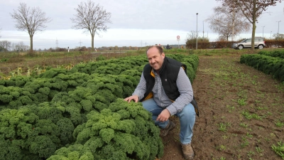 Auf dem Grünkohl-Feld direkt in unmittelbarer Nähe zum neuen Standort: Landwirt Martin Klischat. (Foto: tau)