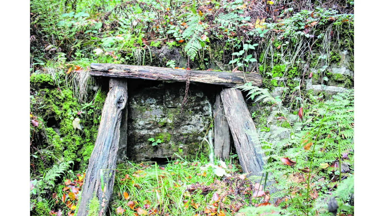 Wasser, Wunder und ein regionales Märchen (Foto: jan)