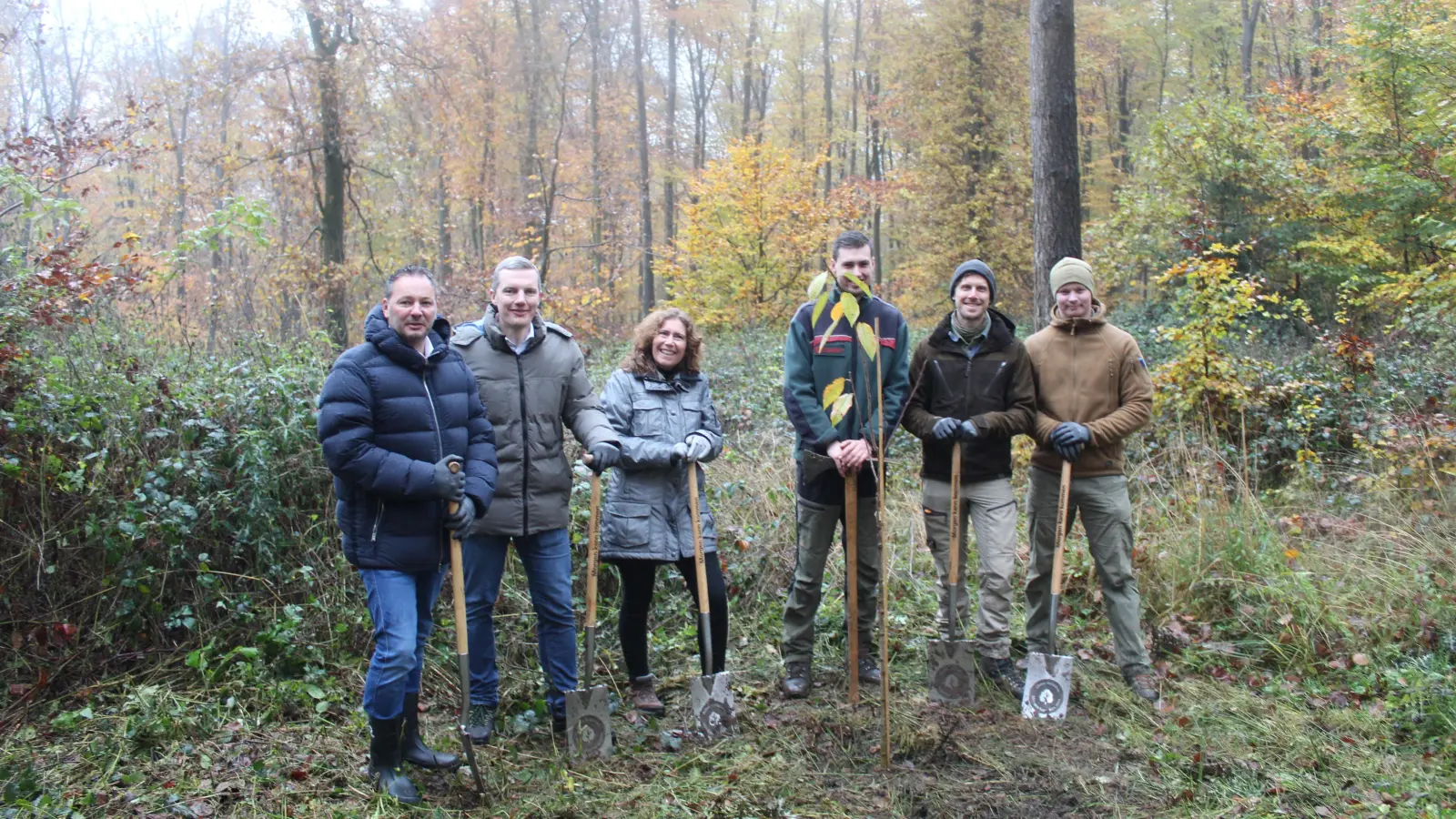 Bei der Arbeit (v.li.): Markus Strahler, Christian Weiß und Anja Bracht von der Volksbank sowie Revierförster Leander Woitas zusammen mit Edward Olson und Marvin Schneider von der Stiftung Deutscher Wald. (Foto: wb)