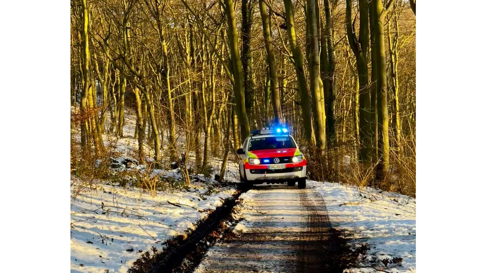 Die DRK-Geländerettung mit der Feuerwehr Rodenberg in unwegsamen Gelände mitten im Deister. (Foto: privat)