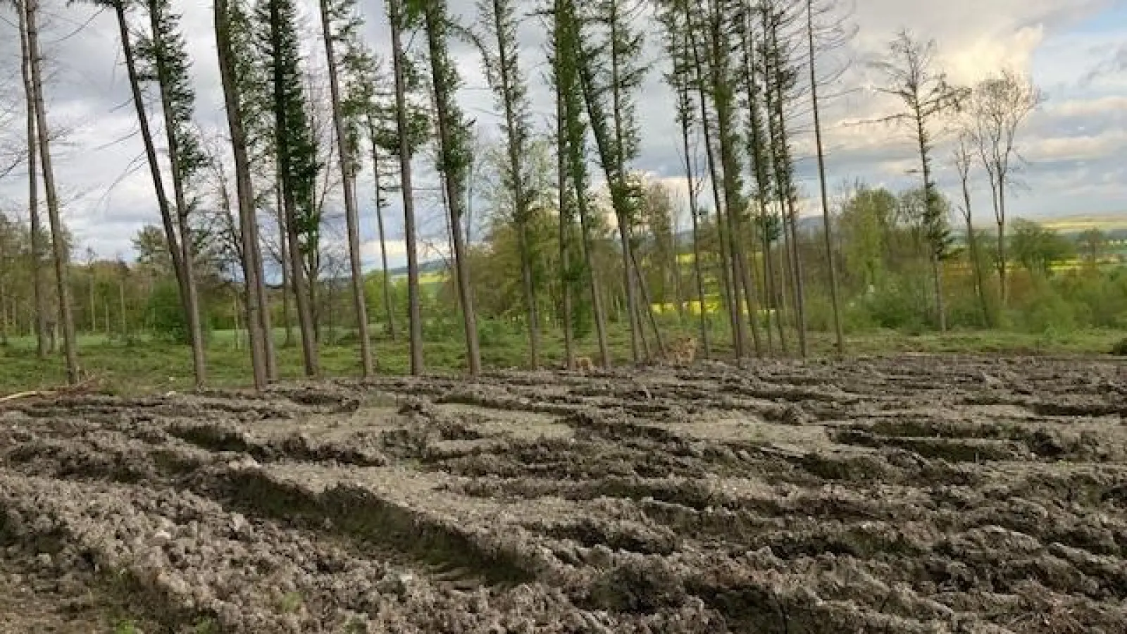 Der aufgespülte Schlamm. (Foto: privat)