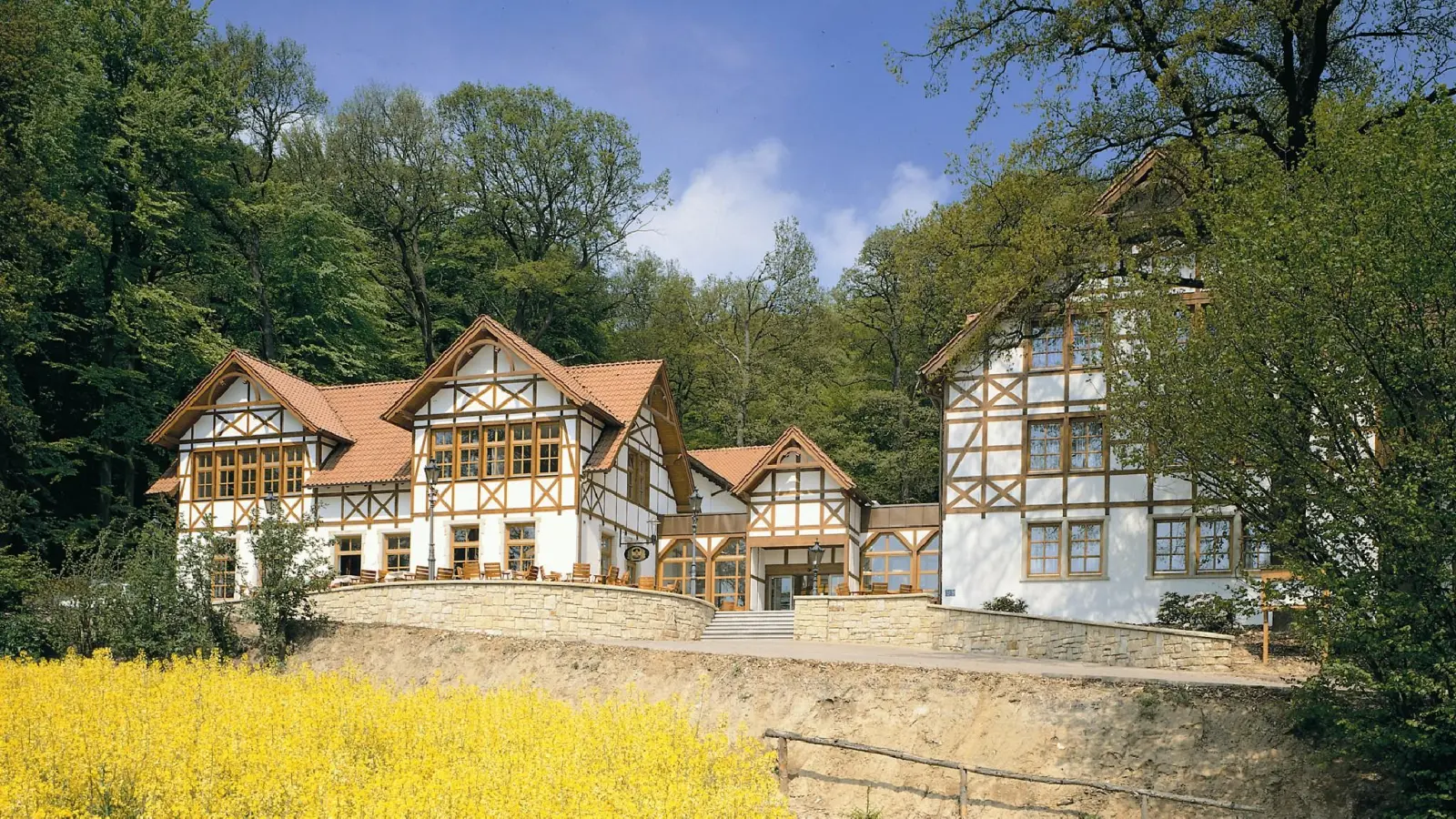 Der Waldkater in seiner ganzen Pracht. Jetzt kehrt neues Leben in die seit 2020 leer stehenden Gebäude ein.  (Foto: ste)