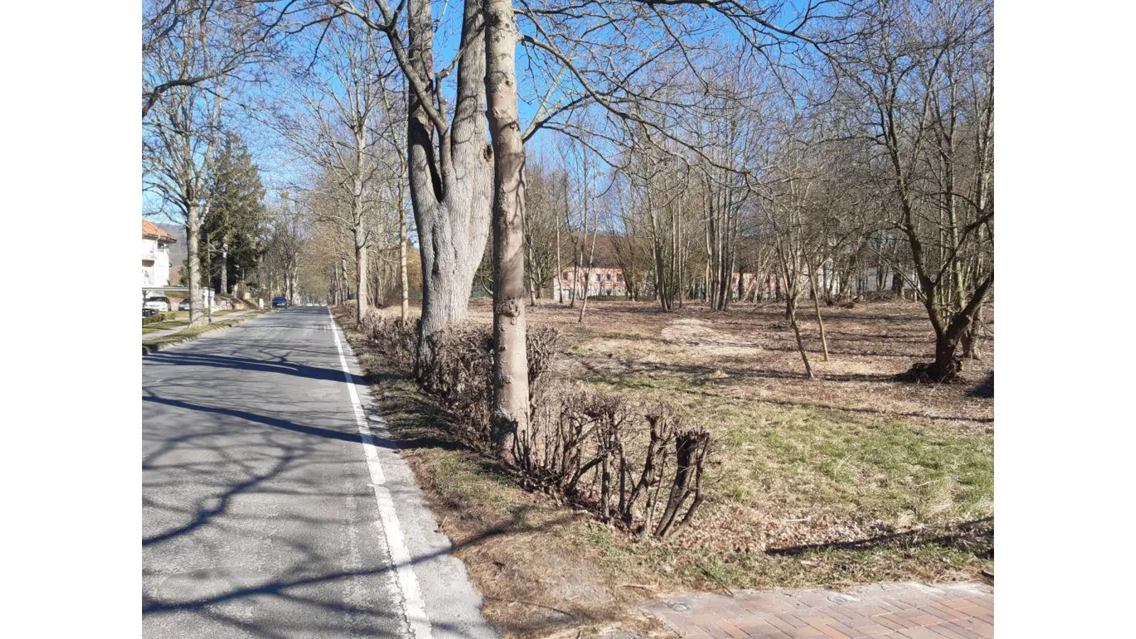 Hier an der Waldkaterallee soll das neue Regenrückhaltebecken entstehen und insbesondere die tiefergelegenen Baugebiete vor Starkregenereignissen schützen.  (Foto: ste)