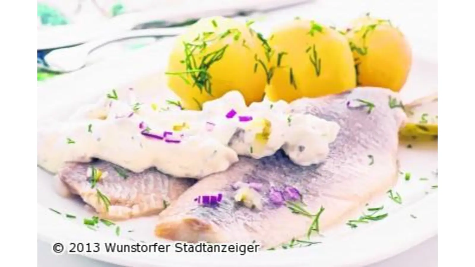 Fisch und sonst nichts (Foto: nb)