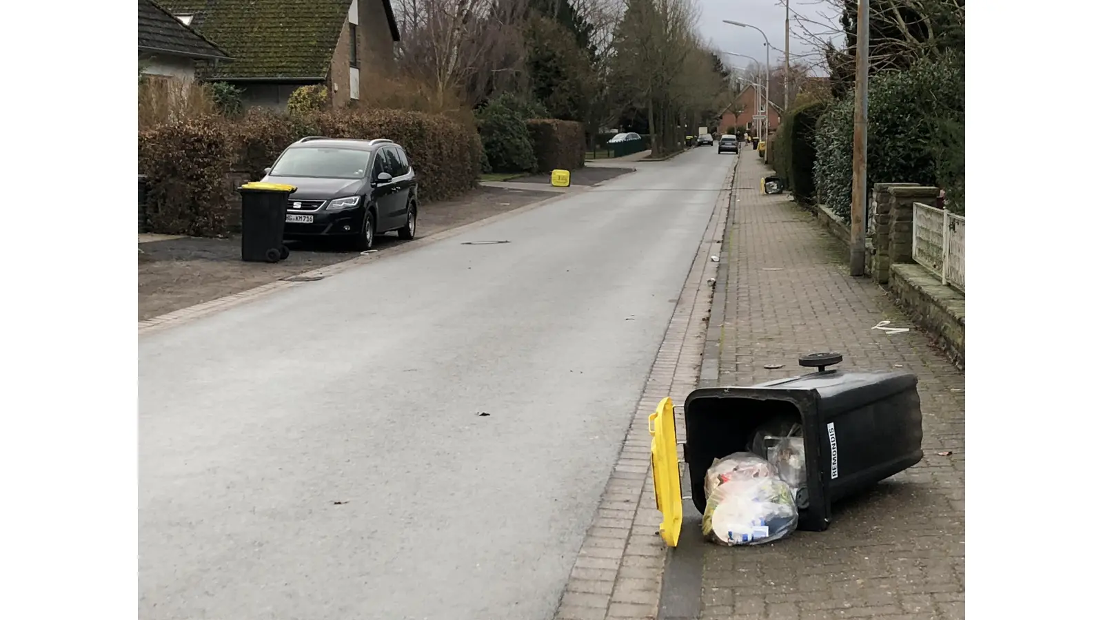 Umgekippt: Eine Mülltonne am Straßenrand. (Foto: cm)