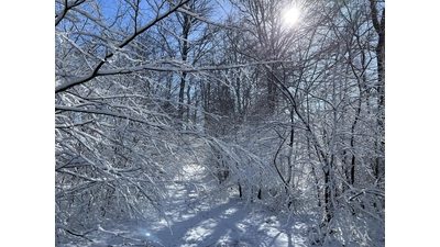 Ein herrliches Winterfoto aus dem Deister. (Foto: privat)