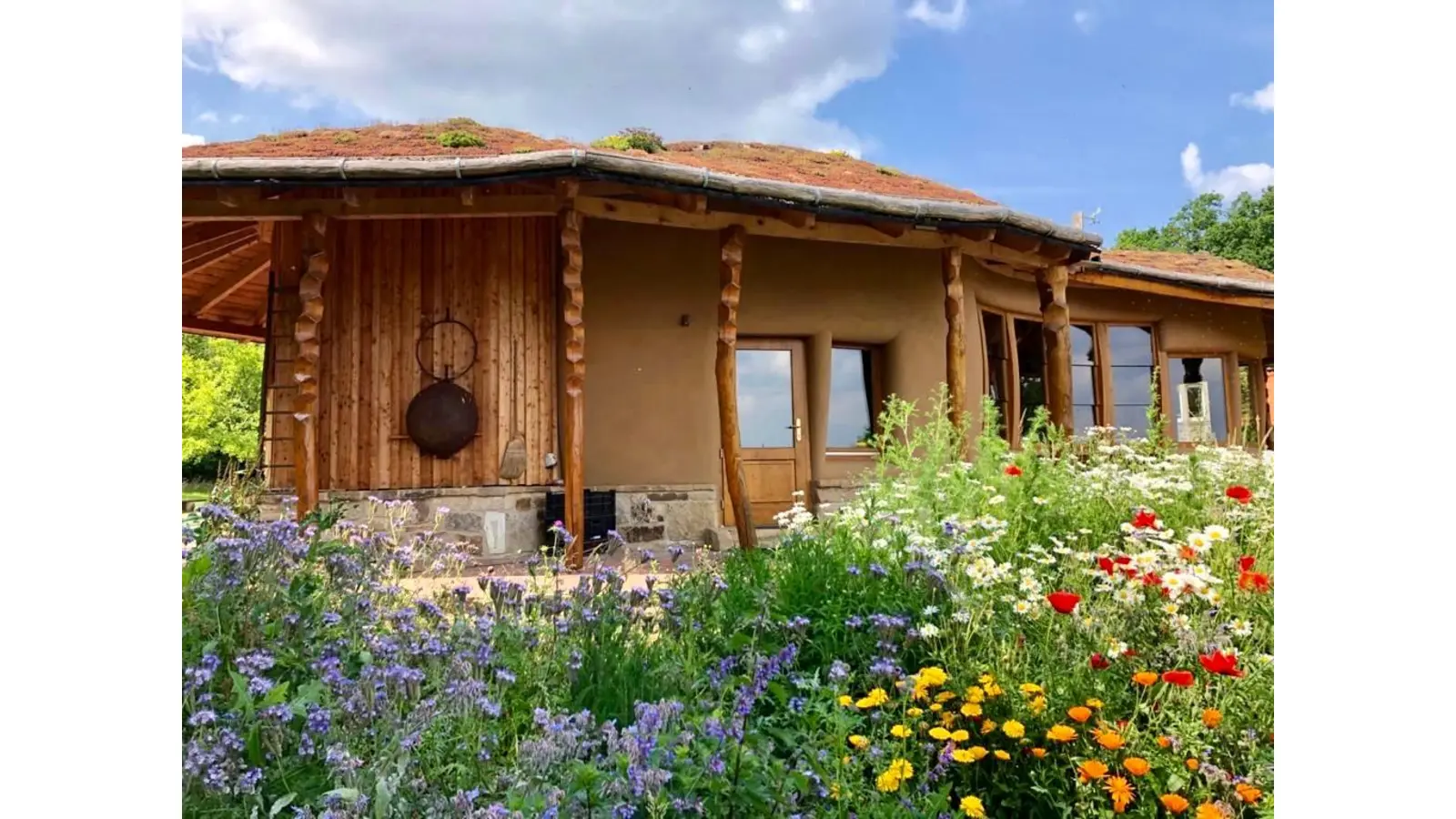 Das Bienenhaus wird für das Publikum geöffnet. (Foto: privat)