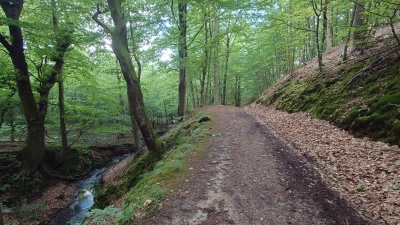 Idyllische Wegeführung und zuverlässige Markierung sorgt für die Auszeichnung. (Foto: privat)