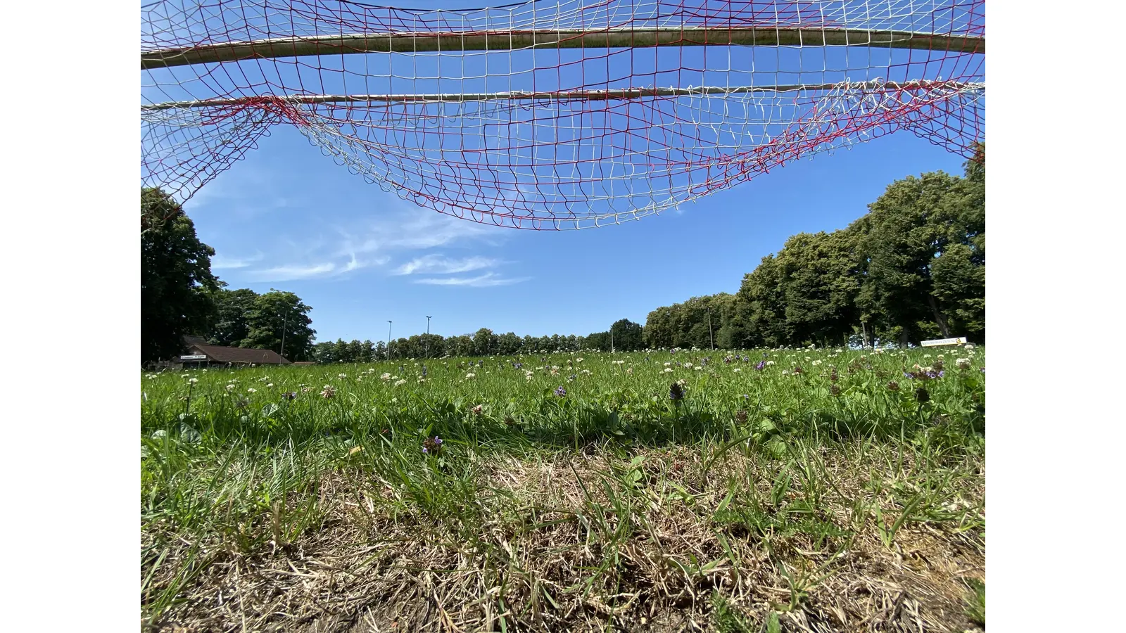 Der Rasen des Sportplatz Steinanger wird eigentlich in Eigenverantwortung des SC Rinteln gepflegt. Eine umfassende „Rasenrenovierung” leistete jetzt der Bauhof der Stadt Rinteln.  (Foto: ste)