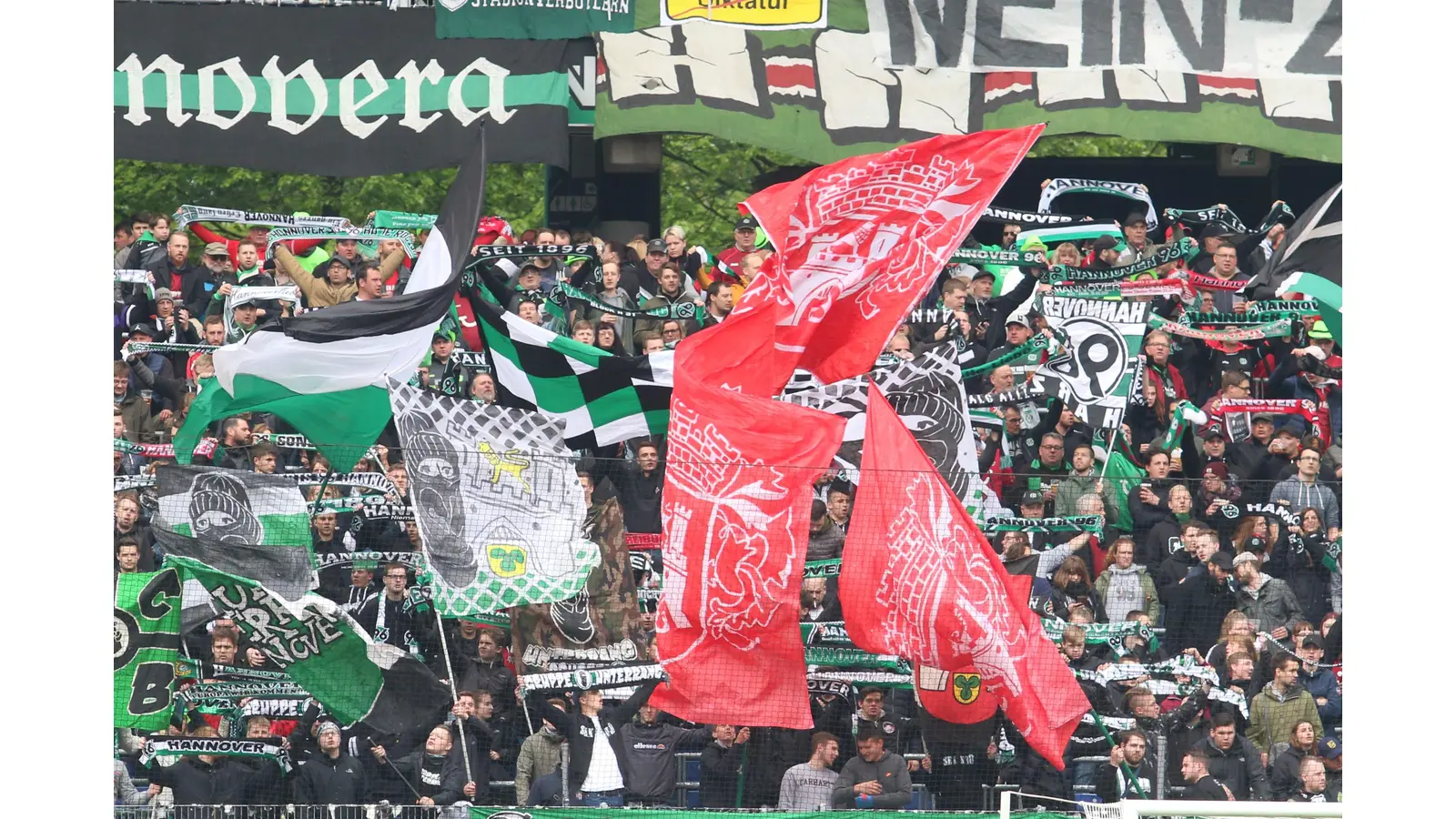 Der Aufschwung, den 96 zuletzt verzeichnet, hebt die Stimmung bei den Fans. (Foto: Borchers, Bastian)